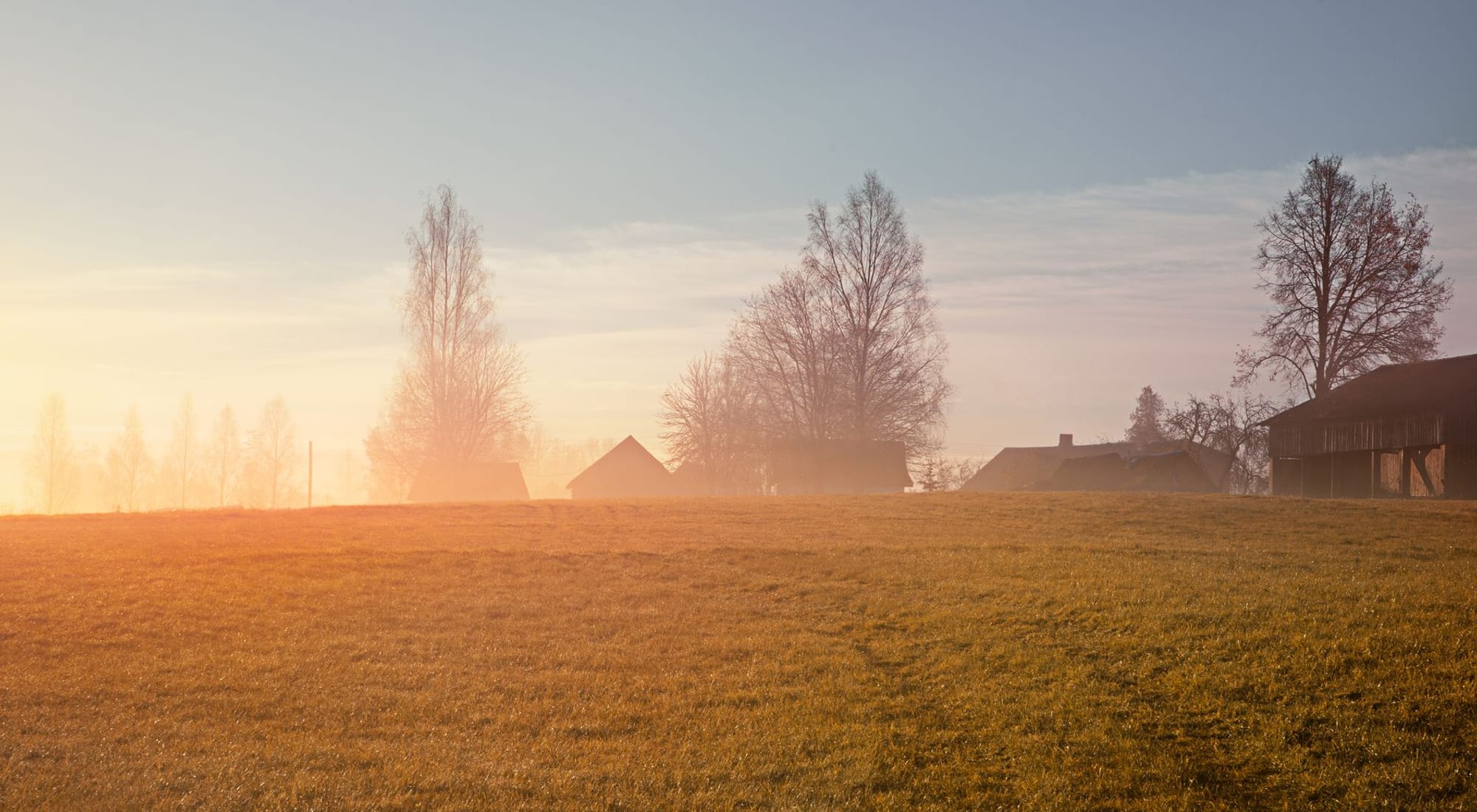Soft sunrise over a calm, open countryside